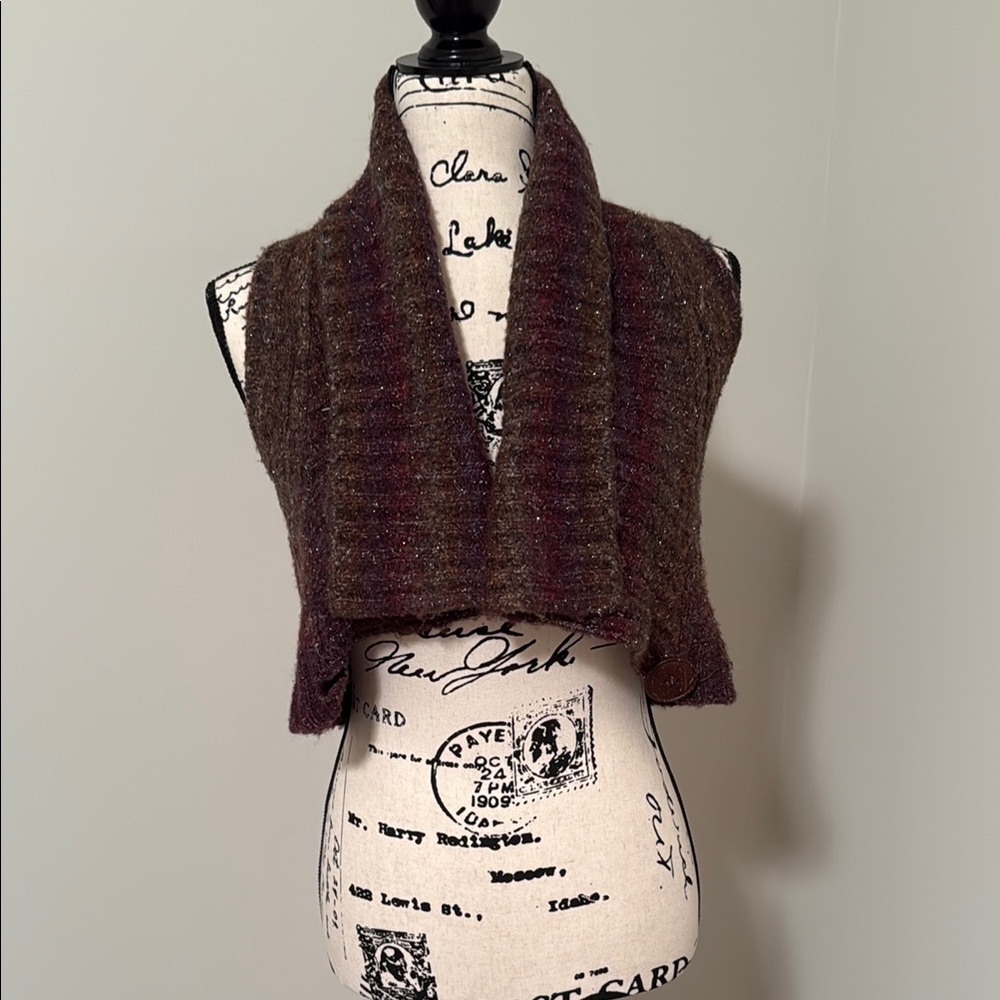 bebe Brown and Purple Knit Vest